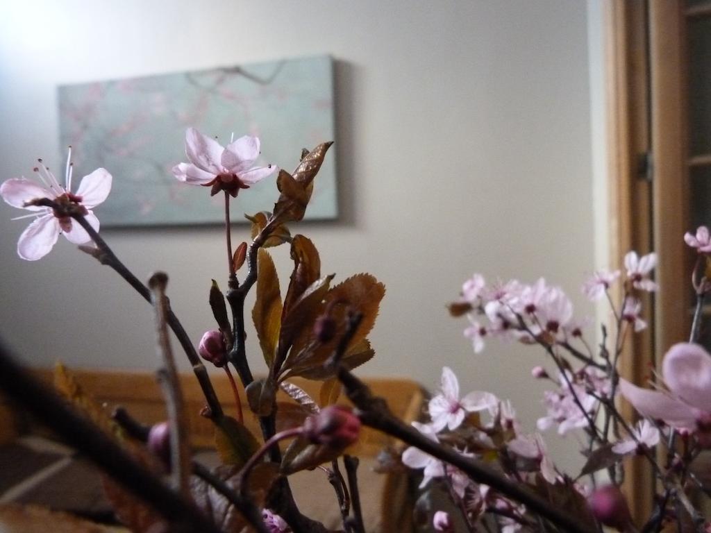 Guesthouse Alizee Leuven Bagian luar foto